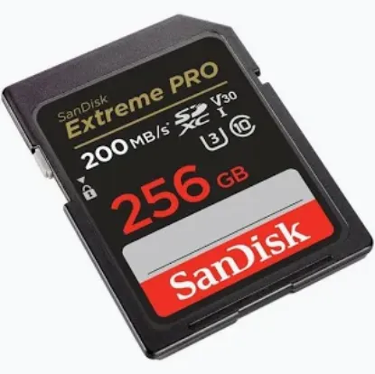 Picture of Memory Card 256 GB